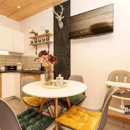 Highland Charm Apartment Chocholow